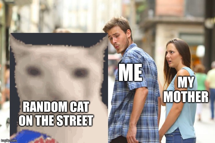 Distracted Boyfriend Meme | ME; MY MOTHER; RANDOM CAT ON THE STREET | image tagged in memes,distracted boyfriend | made w/ Imgflip meme maker