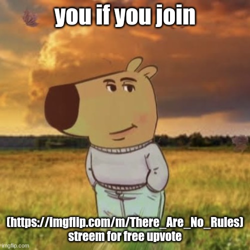 join pls | you if you join; (https://imgflip.com/m/There_Are_No_Rules) streem for free upvote | image tagged in chill guy | made w/ Imgflip meme maker