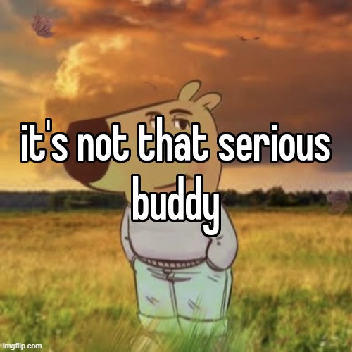 it's not that serious buddy | image tagged in it's not that serious buddy | made w/ Imgflip meme maker