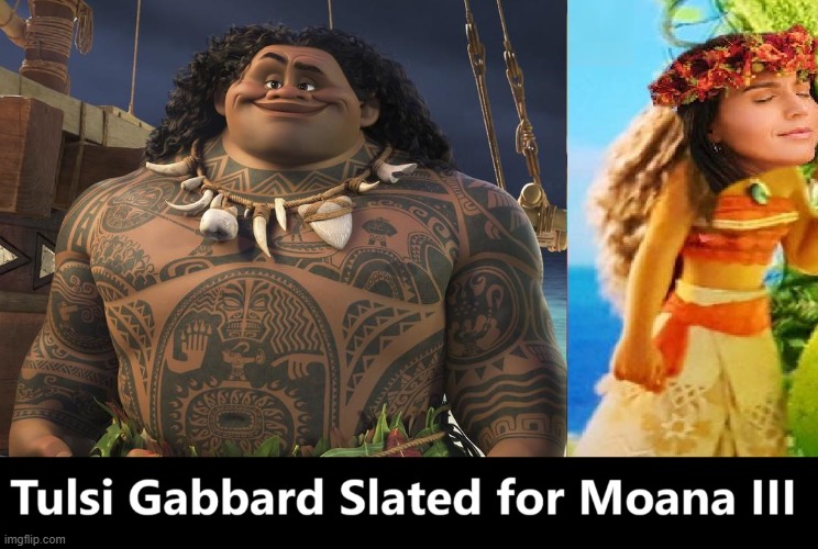 First Samoan Nominated Director of National Intelligence | image tagged in vince vance,memes,tulsi gabbard,cartoons,comics,moana | made w/ Imgflip meme maker