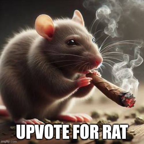 awesome rat smoking a big blunt | UPVOTE FOR RAT | image tagged in repost if you agree | made w/ Imgflip meme maker