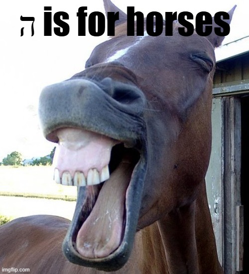 hebrew puns | ה is for horses | image tagged in funny horse face,hebrew,funny,meme | made w/ Imgflip meme maker