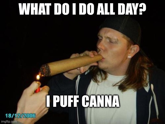 smoking weed | WHAT DO I DO ALL DAY? I PUFF CANNA | image tagged in smoking weed | made w/ Imgflip meme maker