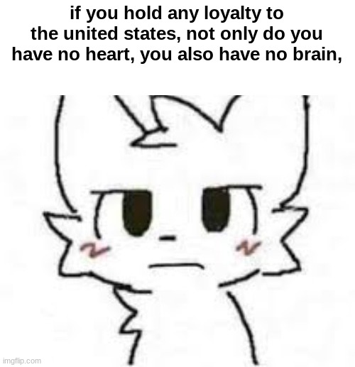 if you hold any loyalty to the united states, not only do you have no heart, you also have no brain, | made w/ Imgflip meme maker