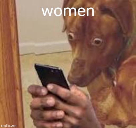 this is a shitpost sir | women | image tagged in oh no | made w/ Imgflip meme maker