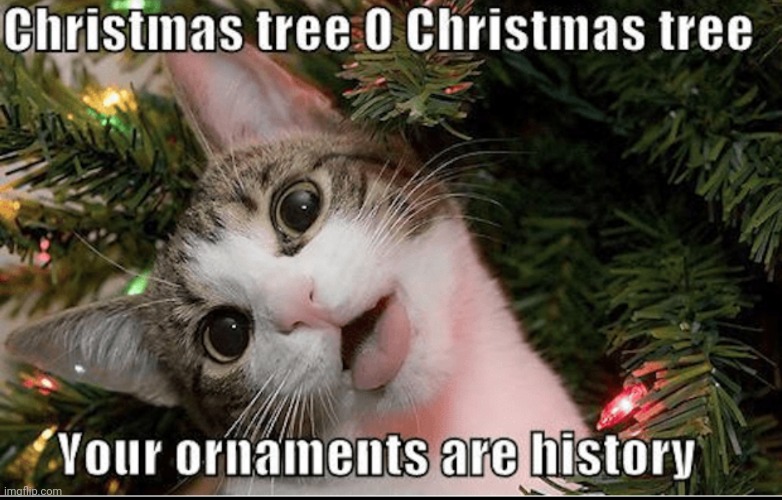 O Christmas tree, O Christmas tree.. | image tagged in o christmas tree o christmas tree,christmas,ornaments,cats and kittens,christmas carols,really funny | made w/ Imgflip meme maker