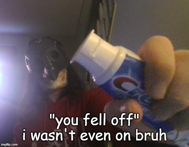 i typed this title with my beak | "you fell off" i wasn't even on bruh | image tagged in i typed this title with my beak | made w/ Imgflip meme maker