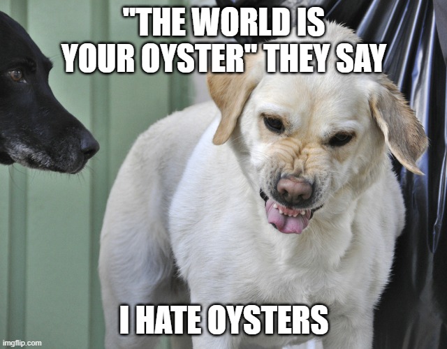 Oysters | "THE WORLD IS YOUR OYSTER" THEY SAY; I HATE OYSTERS | image tagged in bad taste mouth dog,oyster | made w/ Imgflip meme maker