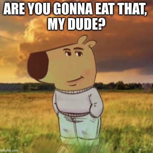 Are you gonna eat that, my dude? | ARE YOU GONNA EAT THAT, 
MY DUDE? | image tagged in chill guy | made w/ Imgflip meme maker