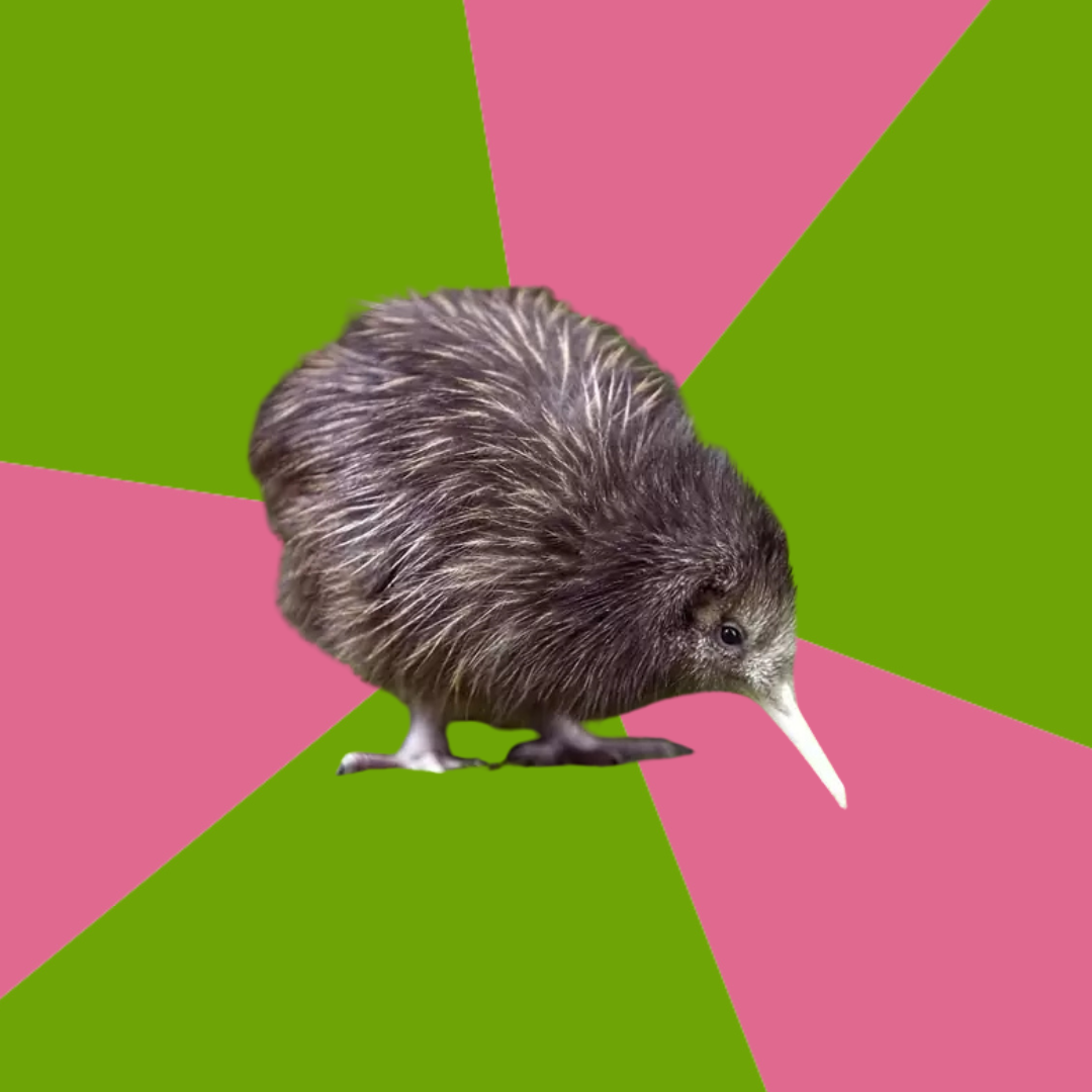 Kiwi pinwheel bird Blank Meme Template