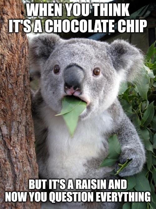 Not again... | WHEN YOU THINK IT'S A CHOCOLATE CHIP; BUT IT'S A RAISIN AND NOW YOU QUESTION EVERYTHING | image tagged in memes,surprised koala,funny,funny memes,fun | made w/ Imgflip meme maker