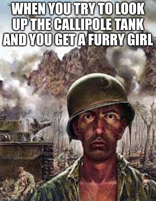 Thousand Yard Stare | WHEN YOU TRY TO LOOK UP THE CALLIPOLE TANK AND YOU GET A FURRY GIRL | image tagged in thousand yard stare,ptsd,sad | made w/ Imgflip meme maker