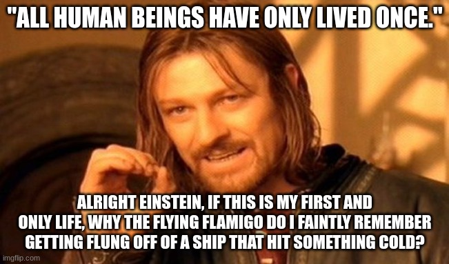 One Does Not Simply Meme | "ALL HUMAN BEINGS HAVE ONLY LIVED ONCE."; ALRIGHT EINSTEIN, IF THIS IS MY FIRST AND ONLY LIFE, WHY THE FLYING FLAMIGO DO I FAINTLY REMEMBER GETTING FLUNG OFF OF A SHIP THAT HIT SOMETHING COLD? | image tagged in memes,one does not simply | made w/ Imgflip meme maker