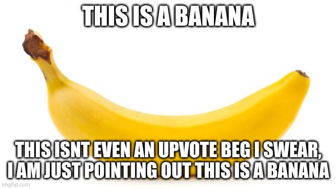 I can confirm this banana is made of banana | THIS IS A BANANA; THIS ISNT EVEN AN UPVOTE BEG I SWEAR, I AM JUST POINTING OUT THIS IS A BANANA | image tagged in banana,memes,funny,strange,what | made w/ Imgflip meme maker