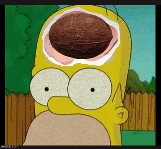 shiny smooth homer simpson brain | image tagged in shiny smooth homer simpson brain | made w/ Imgflip meme maker