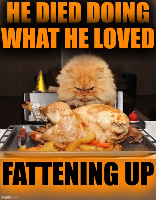 Cat looking at chicken | HE DIED DOING WHAT HE LOVED FATTENING UP | image tagged in cat looking at chicken | made w/ Imgflip meme maker