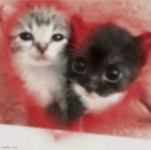 ok bye | made w/ Imgflip meme maker