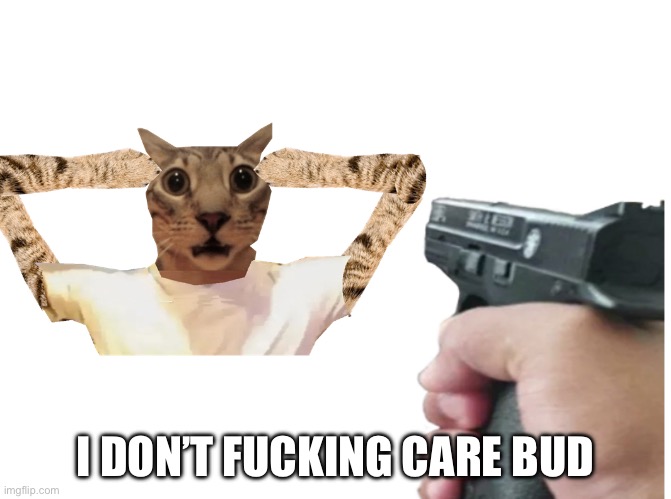 I will shoot you | I DON’T FUCKING CARE BUD | image tagged in i will shoot you | made w/ Imgflip meme maker