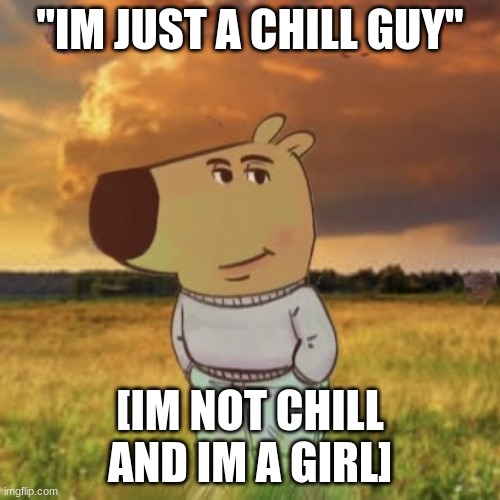 Chill guy | ''IM JUST A CHILL GUY''; [IM NOT CHILL AND IM A GIRL] | image tagged in chill guy | made w/ Imgflip meme maker