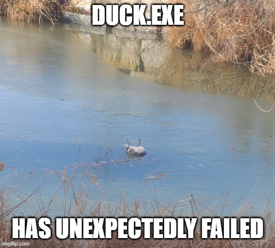 duckcicle | DUCK.EXE; HAS UNEXPECTEDLY FAILED | image tagged in duckcicle | made w/ Imgflip meme maker