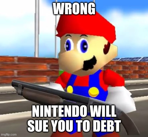 WRONG NINTENDO WILL SUE YOU TO DEBT | image tagged in smg4 shotgun mario | made w/ Imgflip meme maker