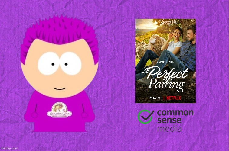 My Review - A Perfect Pairing | image tagged in generic purple background,netflix,romantic,movie,love story,romance | made w/ Imgflip meme maker