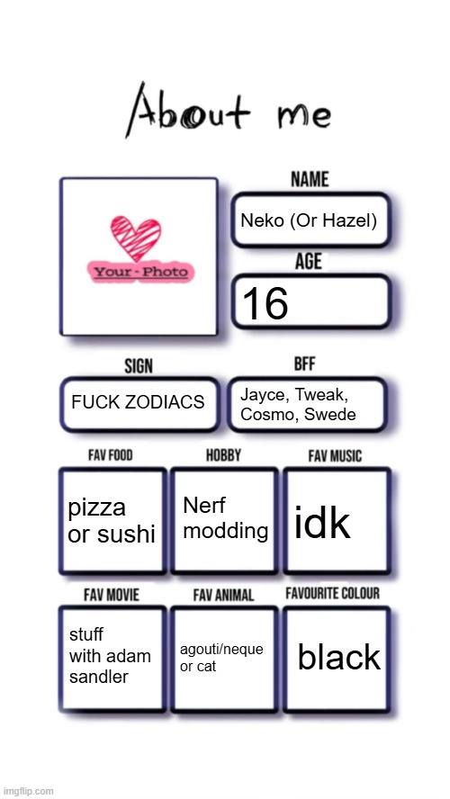 About me | Neko (Or Hazel); 16; FUCK ZODIACS; Jayce, Tweak, Cosmo, Swede; Nerf modding; pizza or sushi; idk; black; stuff with adam sandler; agouti/neque or cat | image tagged in about me | made w/ Imgflip meme maker