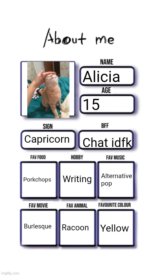 :3 | Alicia; 15; Capricorn; Chat idfk; Writing; Porkchops; Alternative pop; Burlesque; Racoon; Yellow | image tagged in about me | made w/ Imgflip meme maker