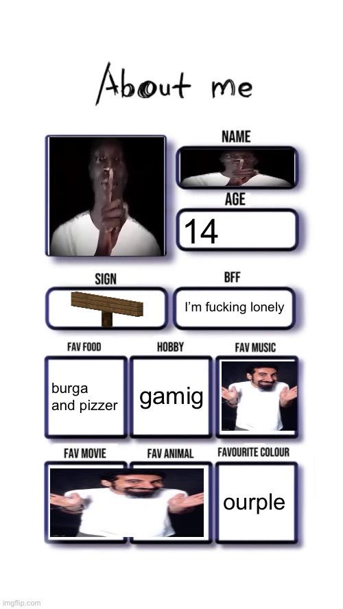 fart | 14; I’m fucking lonely; gamig; burga and pizzer; ourple | image tagged in about me | made w/ Imgflip meme maker