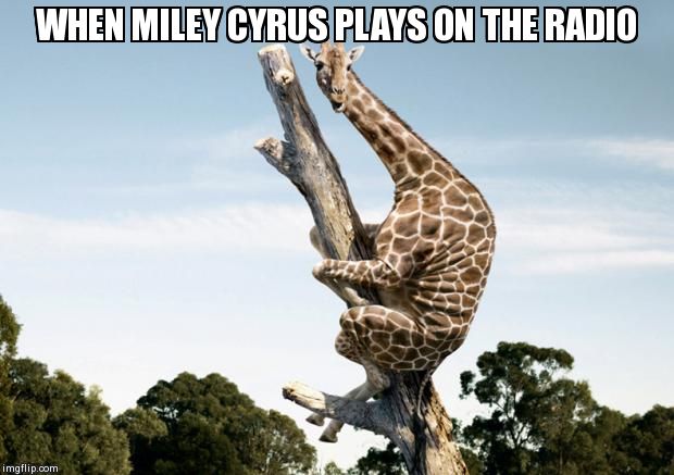 Scared Giraffe | WHEN MILEY CYRUS PLAYS ON THE RADIO | image tagged in scared giraffe | made w/ Imgflip meme maker