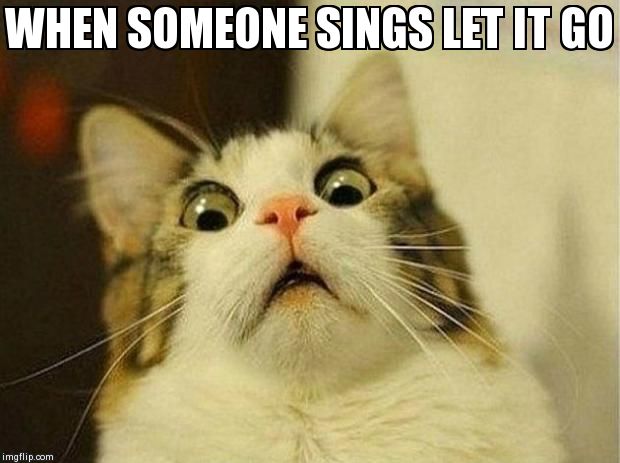Scared Cat Meme | WHEN SOMEONE SINGS LET IT GO | image tagged in scared cat | made w/ Imgflip meme maker