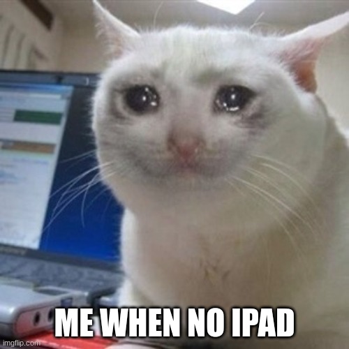 Crying cat | ME WHEN NO IPAD | image tagged in crying cat | made w/ Imgflip meme maker