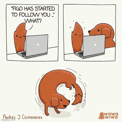 Followed | image tagged in followed,dog,tail,follow,comics,comics/cartoons | made w/ Imgflip meme maker