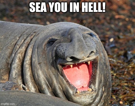 Laughing Sea Lion | SEA YOU IN HELL! | image tagged in laughing sea lion | made w/ Imgflip meme maker