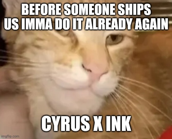 cat mewing | BEFORE SOMEONE SHIPS US IMMA DO IT ALREADY AGAIN; CYRUS X INK | image tagged in cat mewing | made w/ Imgflip meme maker