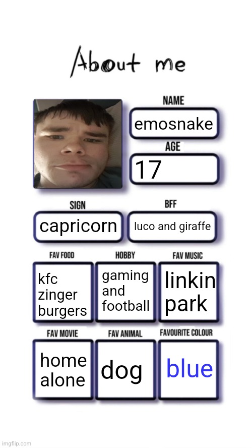 About me | emosnake; 17; capricorn; luco and giraffe; gaming and football; linkin park; kfc zinger burgers; blue; dog; home alone | image tagged in about me | made w/ Imgflip meme maker