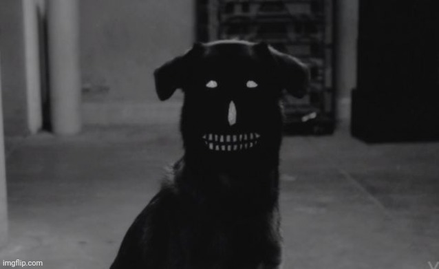 What do you do if you see this? | image tagged in fredrick | made w/ Imgflip meme maker
