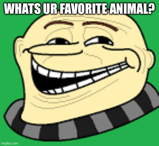 It can be anything idc | WHATS UR FAVORITE ANIMAL? | image tagged in gru troll face | made w/ Imgflip meme maker