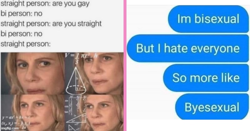 BISEXUAL LIFE IS HARD | image tagged in bisexual,life is hard | made w/ Imgflip meme maker