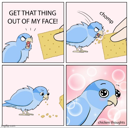 Bird Cracker | image tagged in bird cracker | made w/ Imgflip meme maker