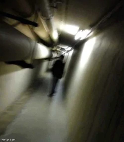 wyd if u get stuck in this backrooms level | image tagged in shadow man chasing | made w/ Imgflip meme maker