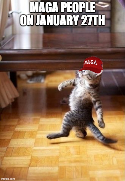 They wanted it! And it happened! | MAGA PEOPLE ON JANUARY 27TH | image tagged in memes,cool cat stroll,american politics,maga,donald trump,funny memes | made w/ Imgflip meme maker