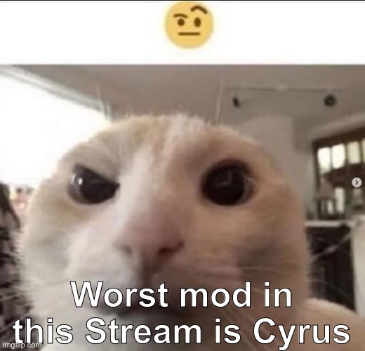 Time for some tomfoolery | Worst mod in this Stream is Cyrus | image tagged in raised eyebrow cat,ragebait | made w/ Imgflip meme maker