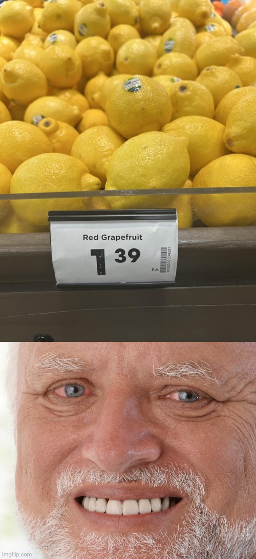 Lemons | image tagged in hide the pain harold,you had one job,memes,lemons,lemon,fruits | made w/ Imgflip meme maker