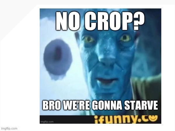 No crop? | image tagged in no crop | made w/ Imgflip meme maker