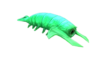 Rock grub Blank Meme Template