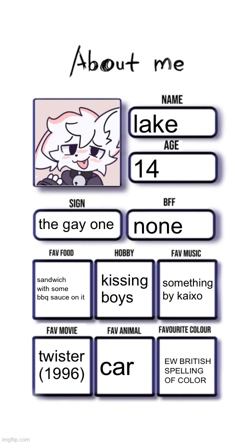 About me | lake; 14; the gay one; none; kissing boys; sandwich with some bbq sauce on it; something by kaixo; twister (1996); car; EW BRITISH SPELLING OF COLOR | image tagged in about me | made w/ Imgflip meme maker