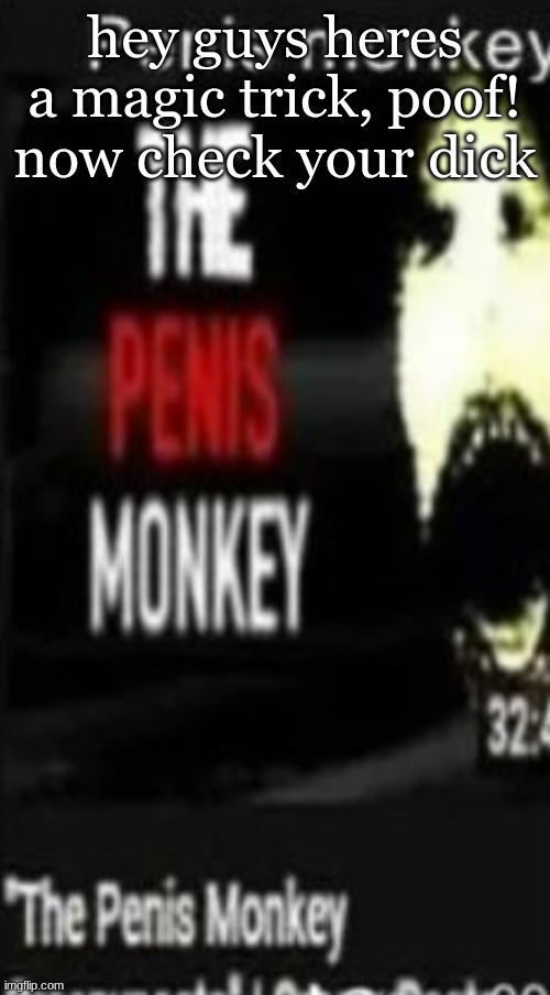 the penis monkey | hey guys heres a magic trick, poof! now check your dick | image tagged in the penis monkey | made w/ Imgflip meme maker