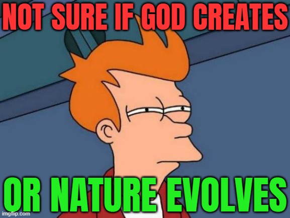 Not Sure If God Creates; Or Nature Evolves | NOT SURE IF GOD CREATES; OR NATURE EVOLVES | image tagged in suspicious fry,mother nature,nature,god religion universe,anti-religion,evolution | made w/ Imgflip meme maker