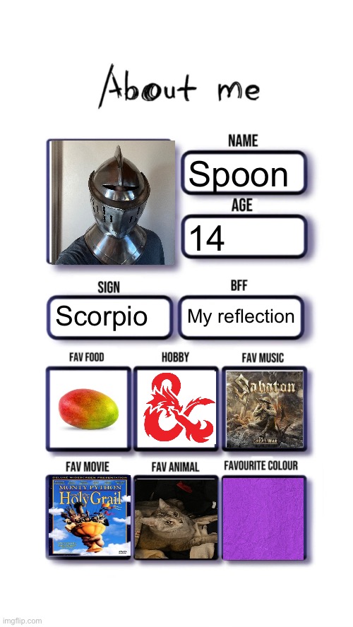 About me | Spoon; 14; My reflection; Scorpio | image tagged in about me | made w/ Imgflip meme maker